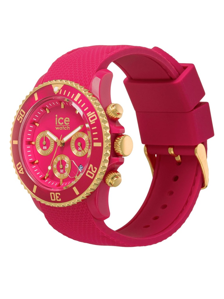 ICE WATCH 021596