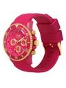 ICE WATCH 021596