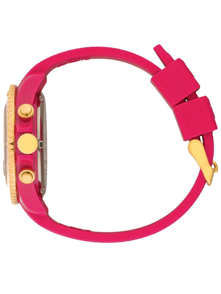 ICE WATCH 021596