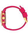 ICE WATCH 021596
