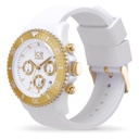 ICE WATCH 021595