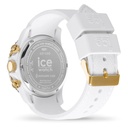 ICE WATCH 021595