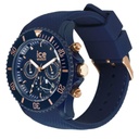 ICE WATCH 020621