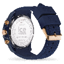 ICE WATCH 020621