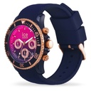 ICE WATCH 021642