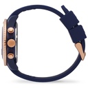 ICE WATCH 021642