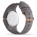 ICE WATCH 020515