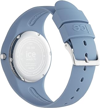 ICE WATCH 020543