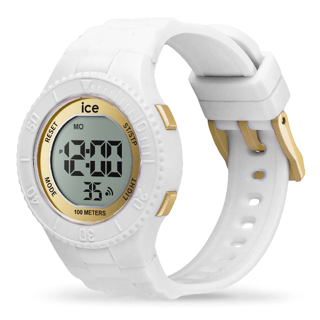 ICE WATCH 021606