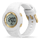 ICE WATCH 021606