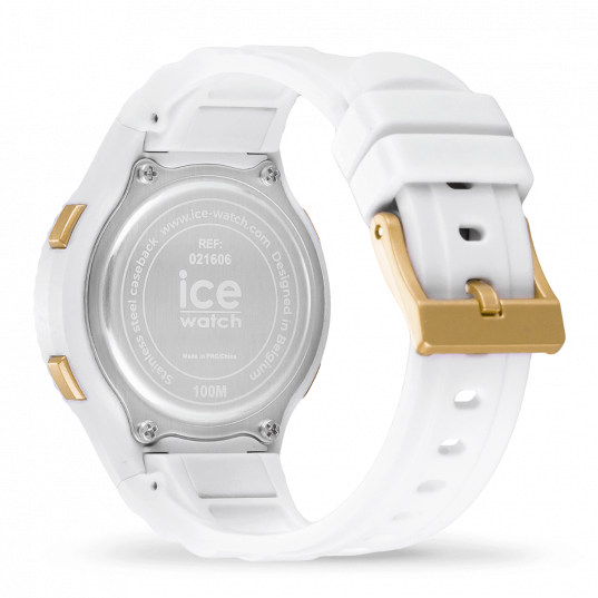 ICE WATCH 021606