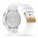 ICE WATCH 021606