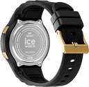 ICE WATCH 021607