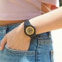 ICE WATCH 021607