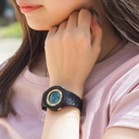 ICE WATCH 021607