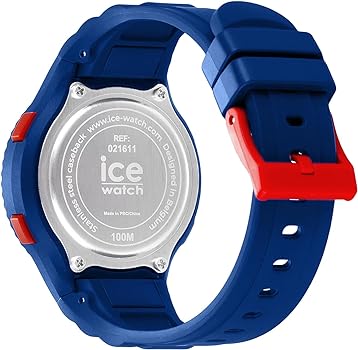 ICE WATCH 021611