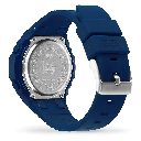 ICE WATCH 022095