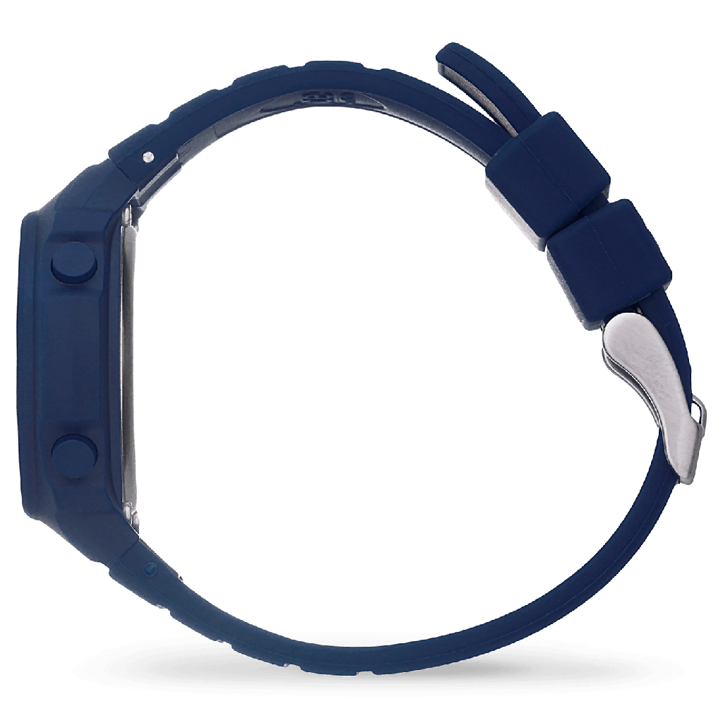 ICE WATCH 022095
