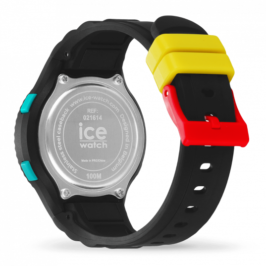 ICE WATCH 021614