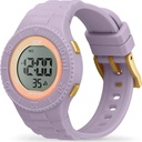 ICE WATCH 021612
