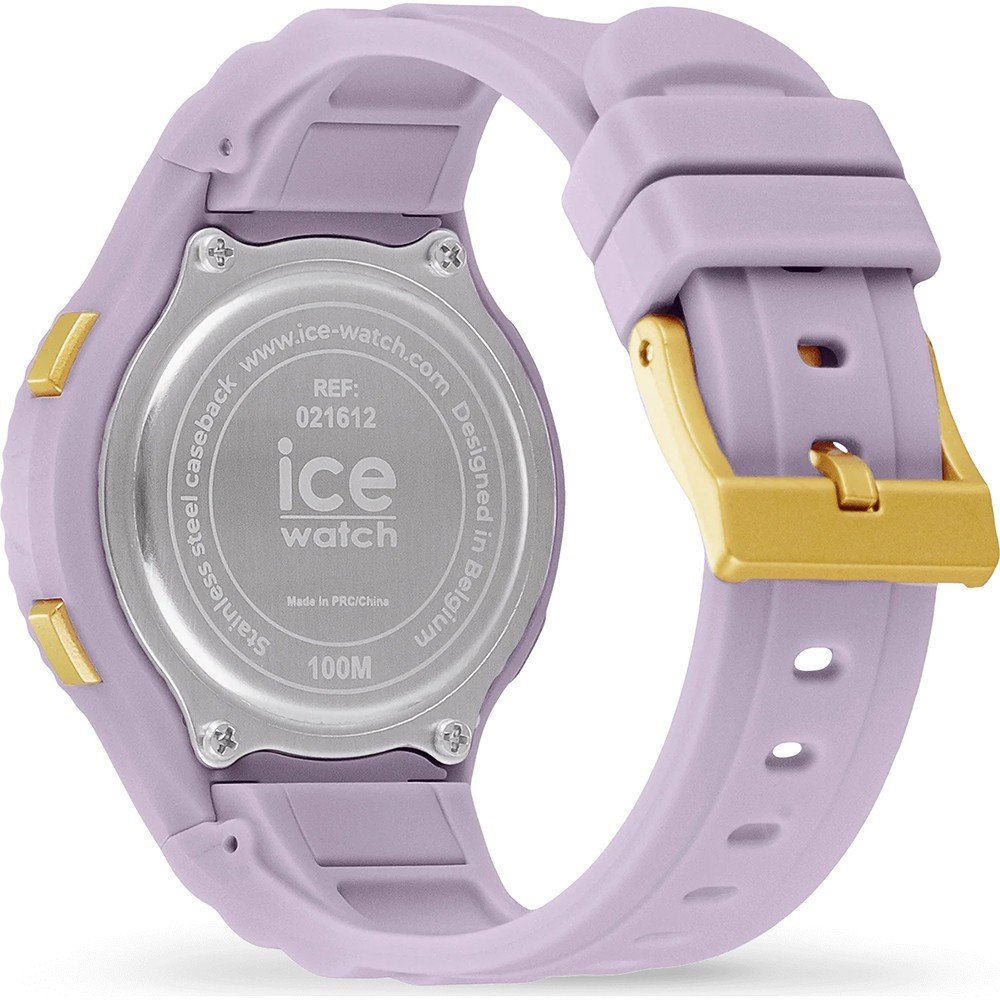 ICE WATCH 021612