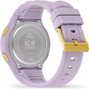 ICE WATCH 021612