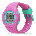 ICE WATCH 021275