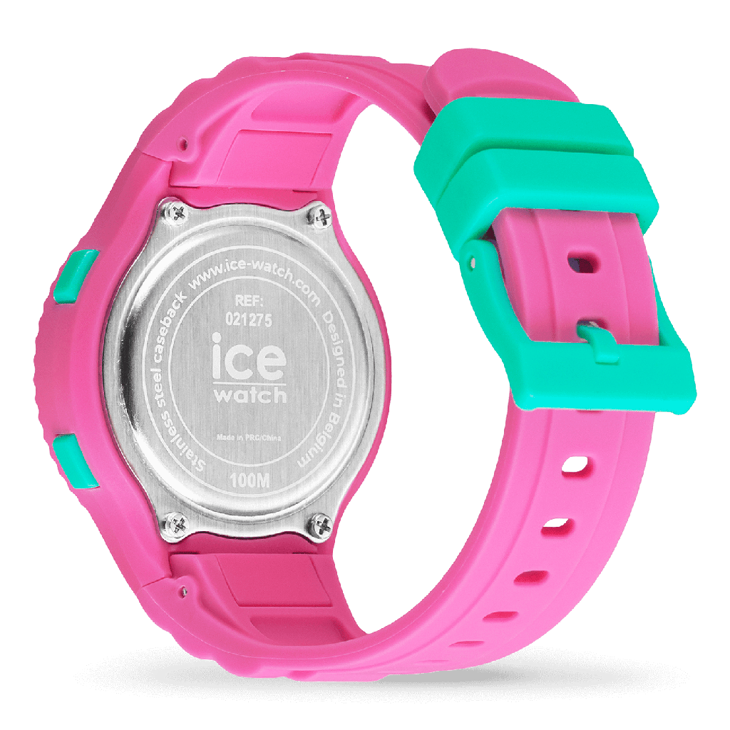 ICE WATCH 021275