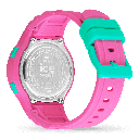 ICE WATCH 021275