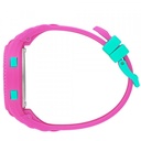 ICE WATCH 021275