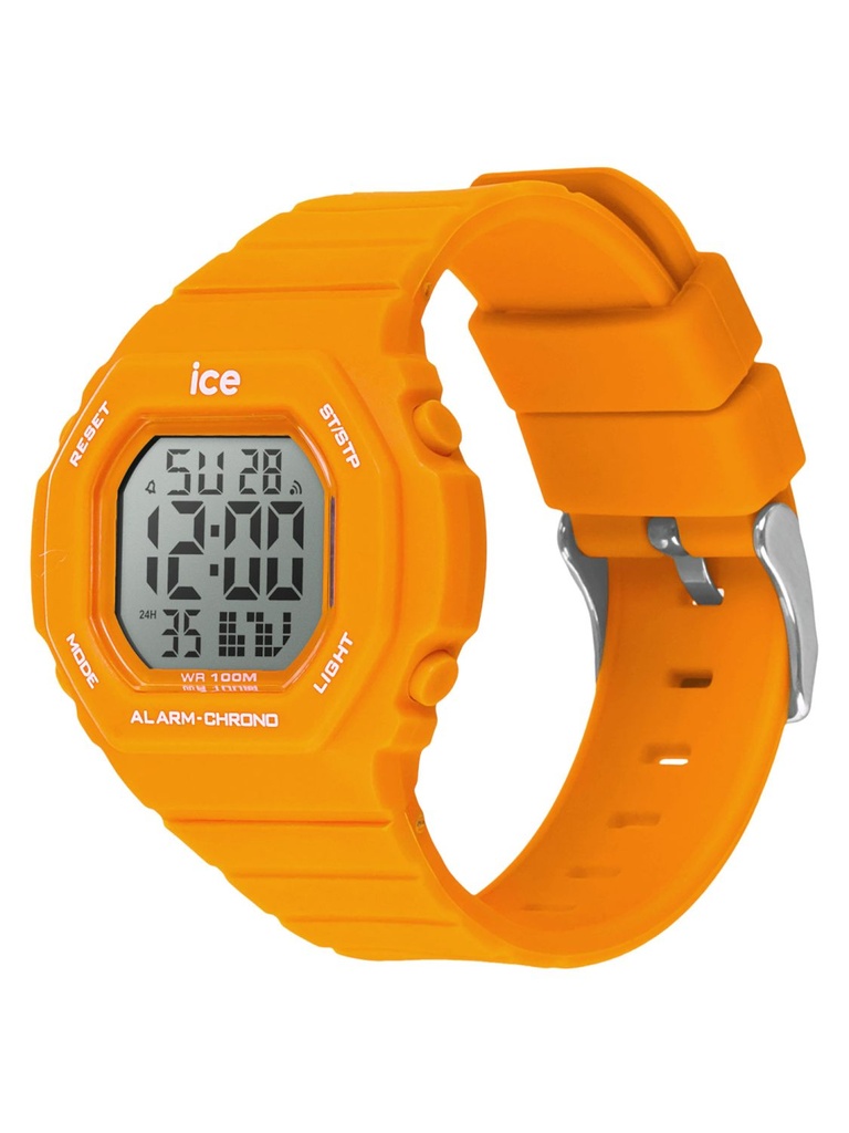 ICE WATCH 022102