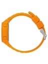 ICE WATCH 022102
