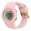 ICE WATCH 021608