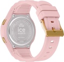 ICE WATCH 021608