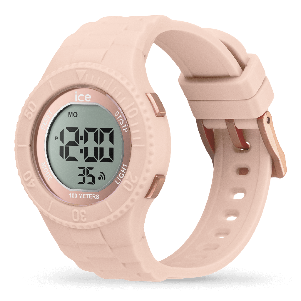 ICE WATCH 021609
