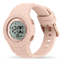 ICE WATCH 021609
