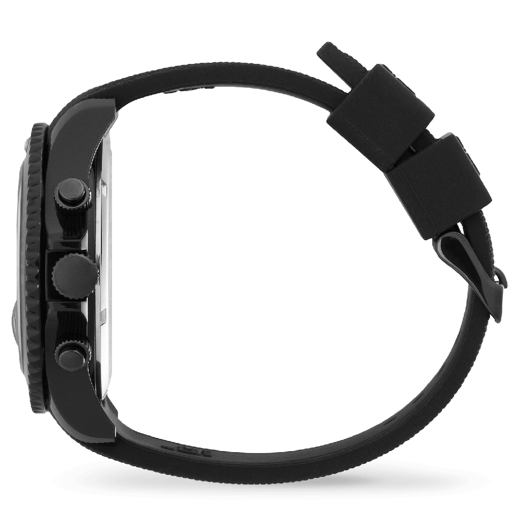 ICE WATCH 020620