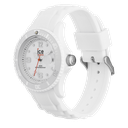 ICE WATCH 000134