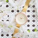 OBAKU V179LEGGMG