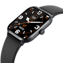 ICE WATCH 022535