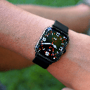 ICE WATCH 022535