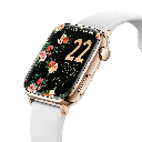 ICE WATCH 022537