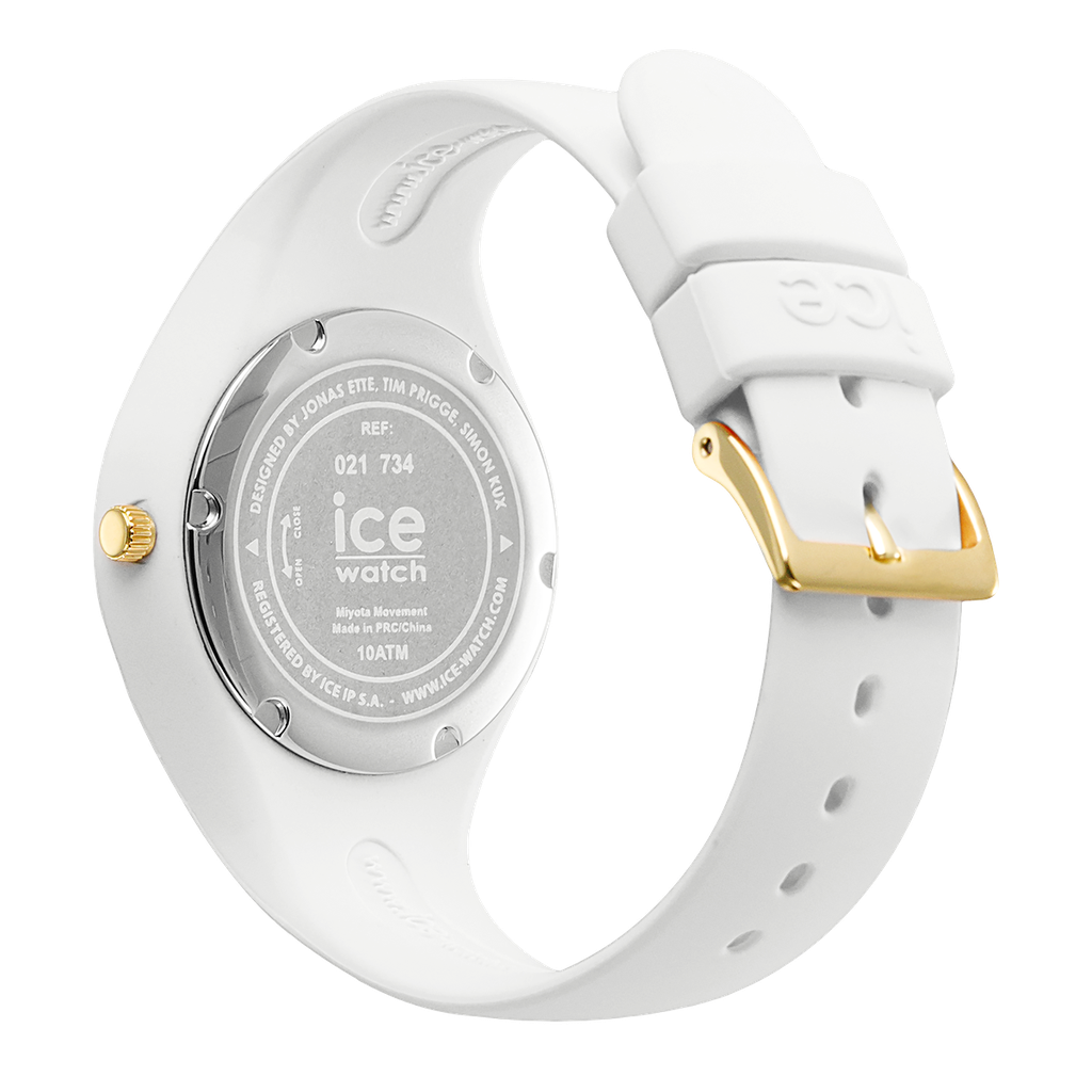 ICE WATCH 021734