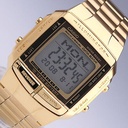 CASIO STANDARD DB-360G-9A