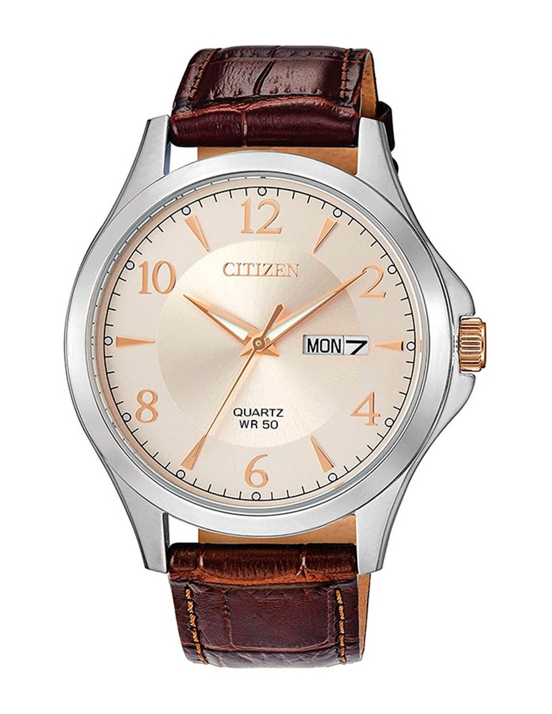 CITIZEN BF2009-29X