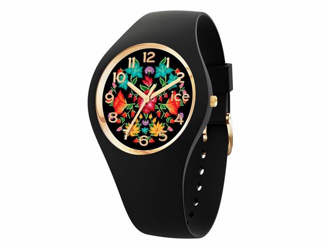 ICE WATCH 021740