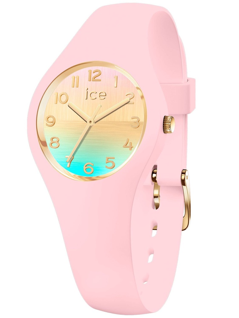 ICE WATCH 021432