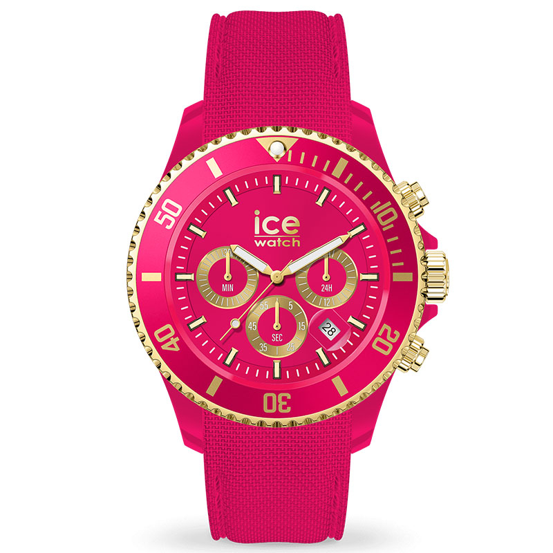 ICE WATCH 021596