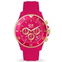 ICE WATCH 021596
