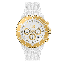 ICE WATCH 021595